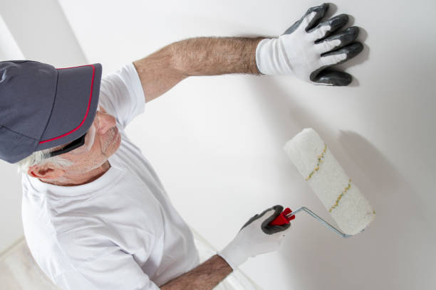 Reliable Johnstown, CO Mold Removal Solutions