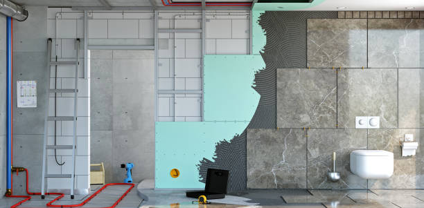 Best Black Mold Removal  in Johnstown, CO