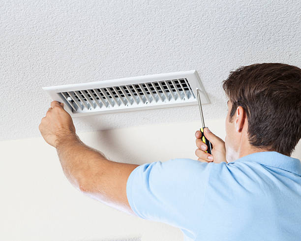 Best Mold Damage Restoration  in Johnstown, CO
