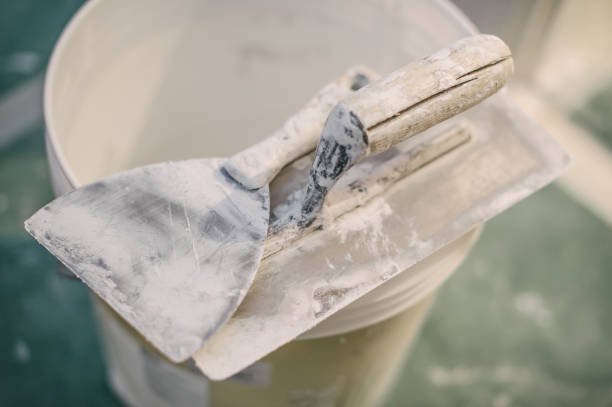 Best Forensic Mold Investigation  in Johnstown, CO